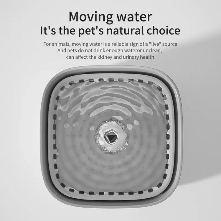 3L Automatic Cat Water Fountain with Filter - cat water fountain