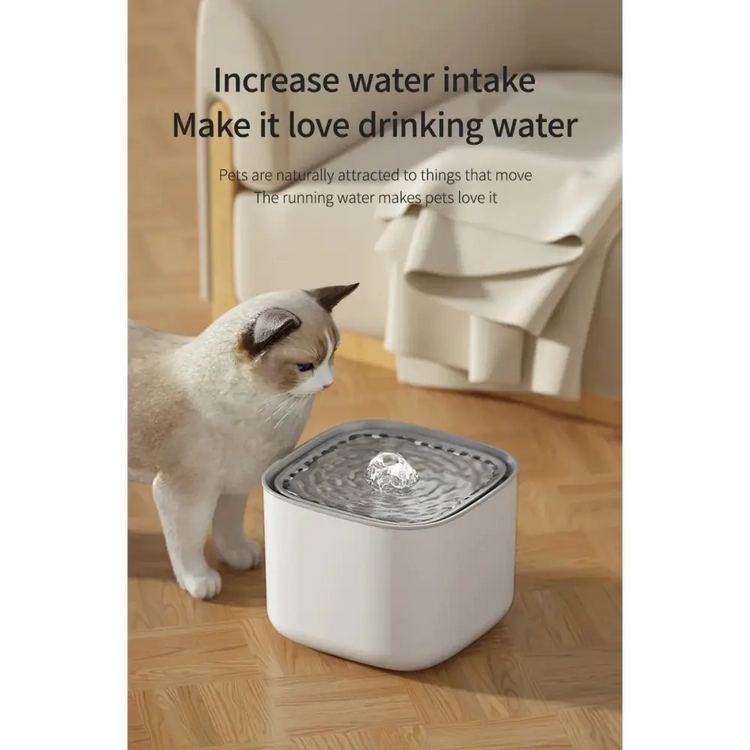 3L Automatic Cat Water Fountain with Filter - cat water fountain