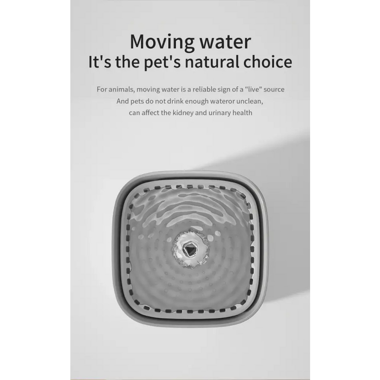3L Automatic Cat Water Fountain with Filter - cat water fountain