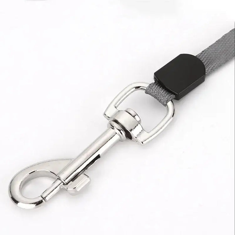 3m 5m Nylon Dog Leash Automatic Retractable Durable Cat Lead Extending Puppy Walking Running Traction Roulette