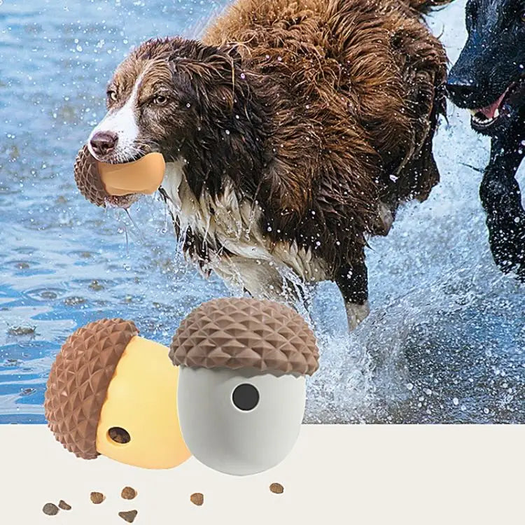 Acorn Shape Educational Slow Eating Toys for Pet
