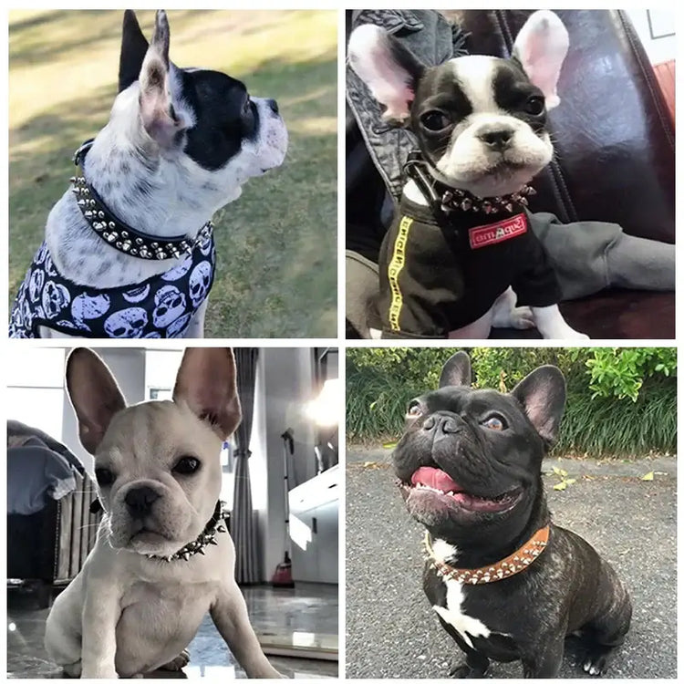 Adjustable Leather Pet Dog collar Neck Strap Supplies PU Leather Punk Rivet Spiked Dog Collar Pet Collars For Small Dog
