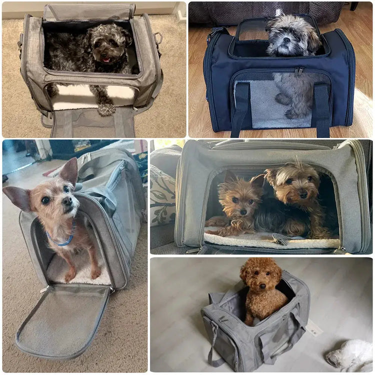 Airline-Approved Soft Pet Carrier Backpack - pet carrier