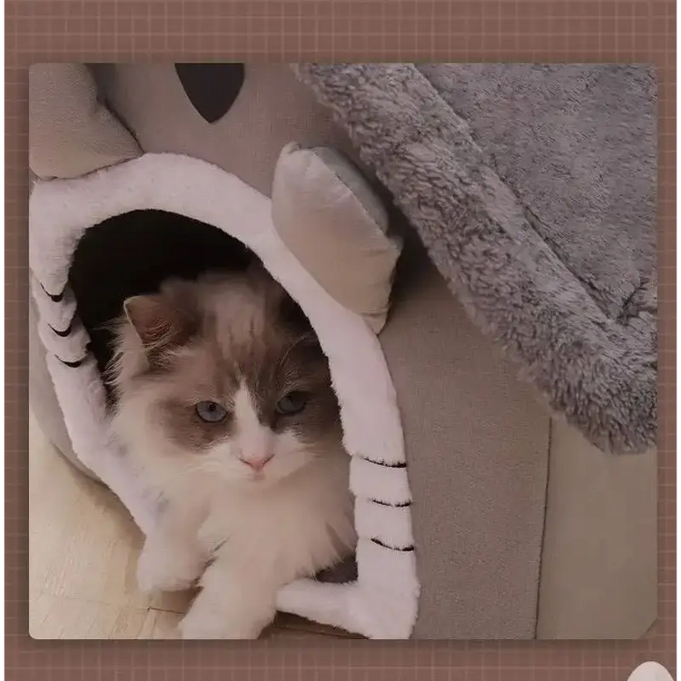 All-Season Indoor Pet Bed with Removable Cushion - cat bed