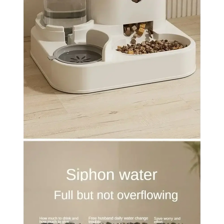 Automatic Pet Feeder & Water Fountain Set - pet feeder