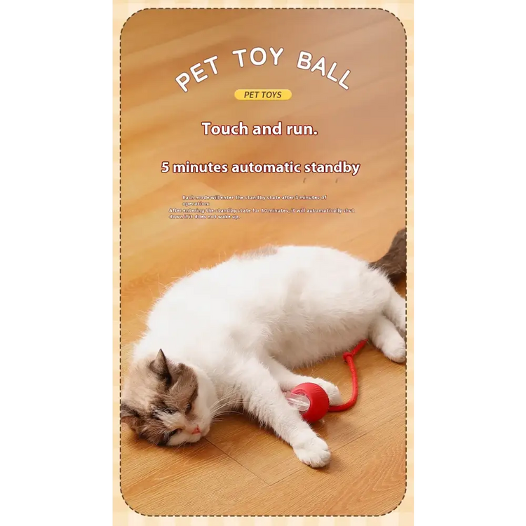 Cat Interactive Rolling Ball Toy – Smart Rechargeable Electric Mouse Imitation for Pet Play & Training - cat toys