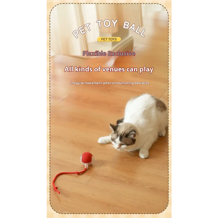 Cat Interactive Rolling Ball Toy – Smart Rechargeable Electric Mouse Imitation for Pet Play & Training - cat toys