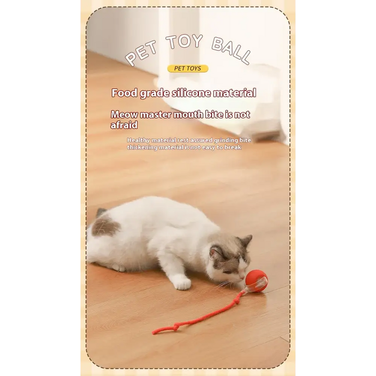 Cat Interactive Rolling Ball Toy – Smart Rechargeable Electric Mouse Imitation for Pet Play & Training - cat toys