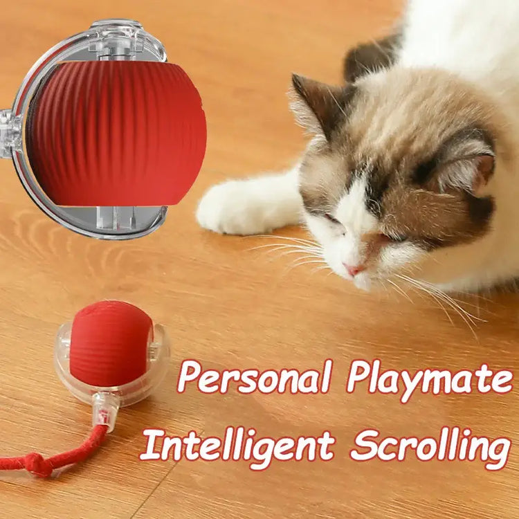 Cat Interactive Rolling Ball Toy – Smart Rechargeable Electric Mouse Imitation for Pet Play & Training - cat toys