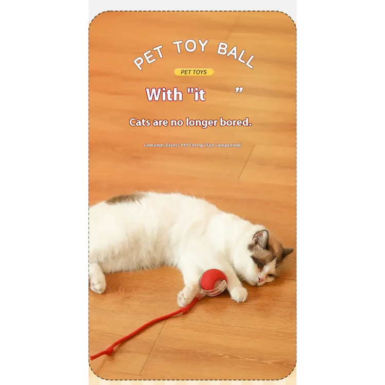 Cat Interactive Rolling Ball Toy – Smart Rechargeable Electric Mouse Imitation for Pet Play & Training - cat toys