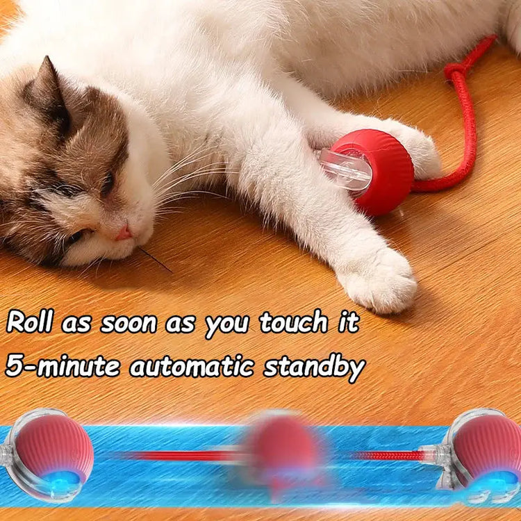 Cat Interactive Rolling Ball Toy – Smart Rechargeable Electric Mouse Imitation for Pet Play & Training - cat toys