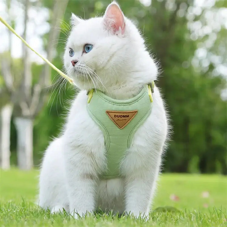 Cat Puppy Outdoor Walking Supplies Fashion Pet Harness and Leash Set for Small Dogs Cats Breathable Durable Kitten