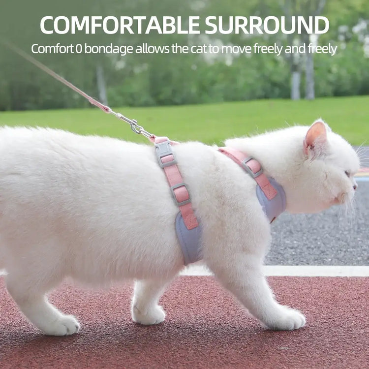 Cat Puppy Outdoor Walking Supplies Fashion Pet Harness and Leash Set for Small Dogs Cats Breathable Durable Kitten