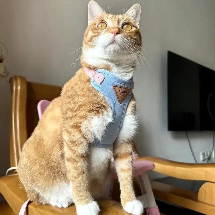 Cat Puppy Outdoor Walking Supplies Fashion Pet Harness and Leash Set for Small Dogs Cats Breathable Durable Kitten