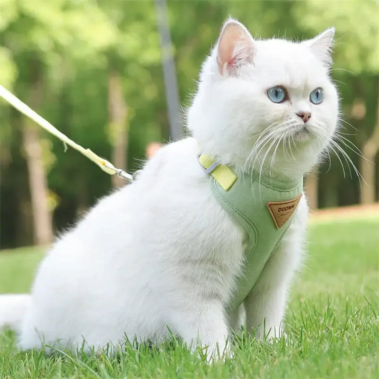 Cat Puppy Outdoor Walking Supplies Fashion Pet Harness and Leash Set for Small Dogs Cats Breathable Durable Kitten