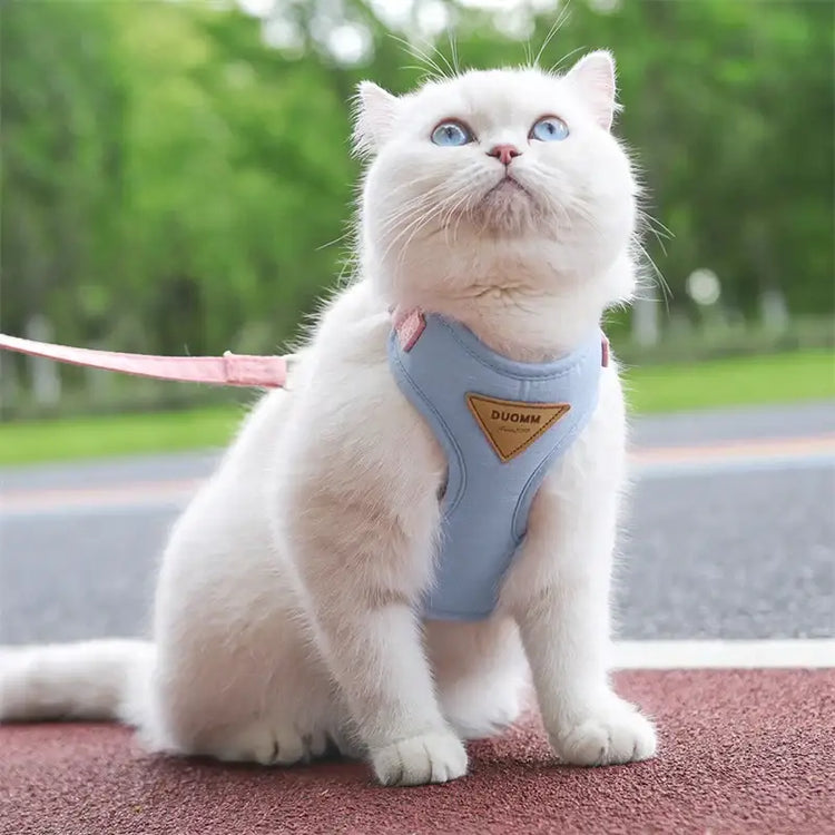 Cat Puppy Outdoor Walking Supplies Fashion Pet Harness and Leash Set for Small Dogs Cats Breathable Durable Kitten