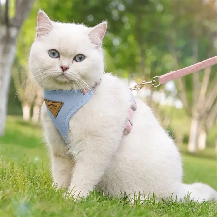 Cat Puppy Outdoor Walking Supplies Fashion Pet Harness and Leash Set for Small Dogs Cats Breathable Durable Kitten