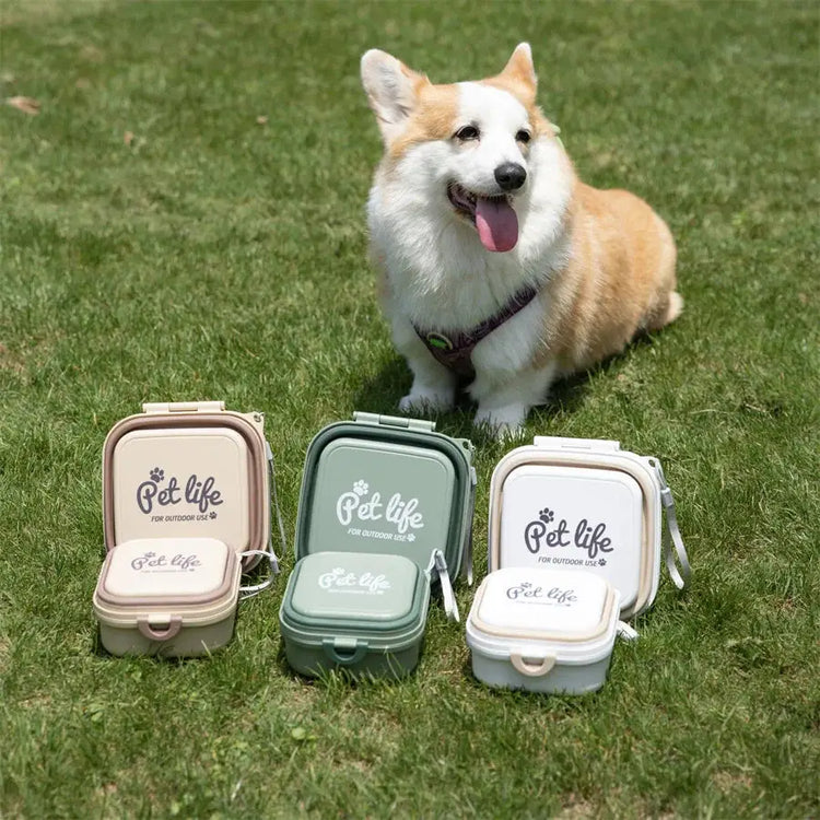 Collapsible Double Pet Travel Bowls – Portable & Durable - pet water bowl