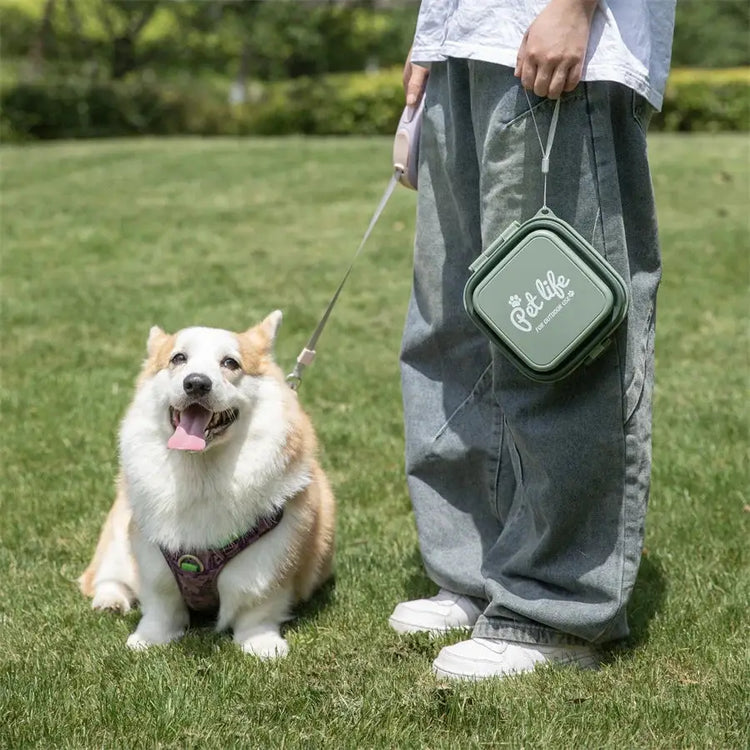 Collapsible Double Pet Travel Bowls – Portable & Durable - pet water bowl