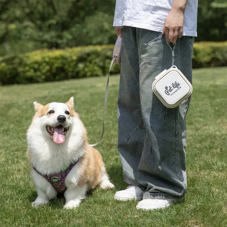Collapsible Double Pet Travel Bowls – Portable & Durable - pet water bowl