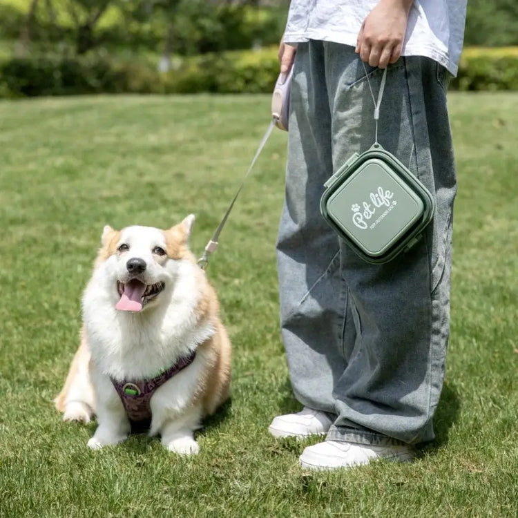 Collapsible Double Pet Travel Bowls – Portable & Durable - pet water bowl