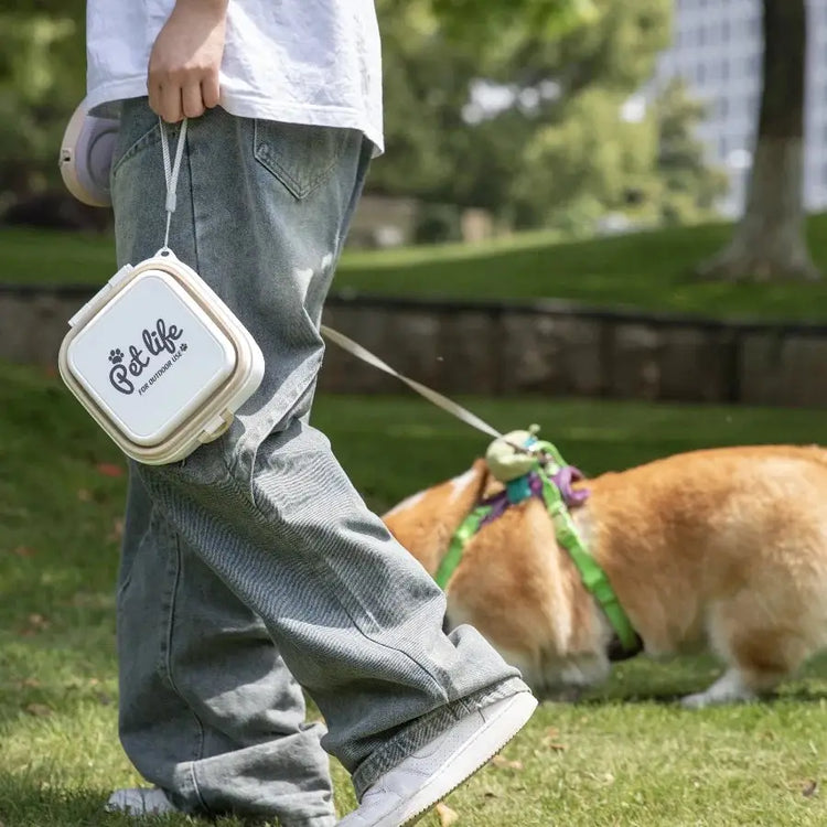 Collapsible Double Pet Travel Bowls – Portable & Durable - pet water bowl