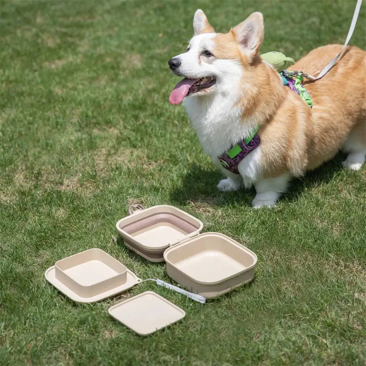 Collapsible Double Pet Travel Bowls – Portable & Durable - pet water bowl