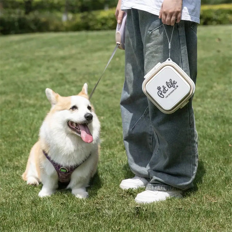 Collapsible Double Pet Travel Bowls – Portable & Durable - pet water bowl