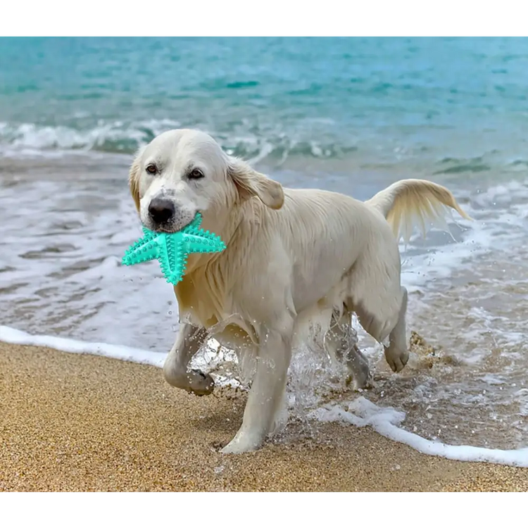 Dog Chew Toys Natural Rubber Starfish-Shaped Dog Toys Interactive Treats Squeaky Dog Toothbrush Cleaner Teething Toys