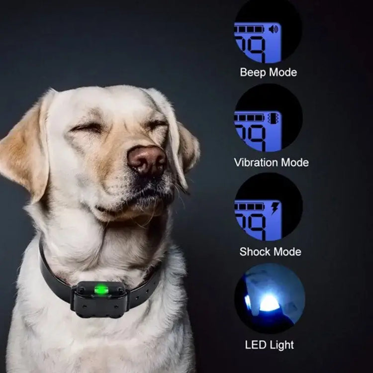 Electric Dog Training Collar - Dog training collar