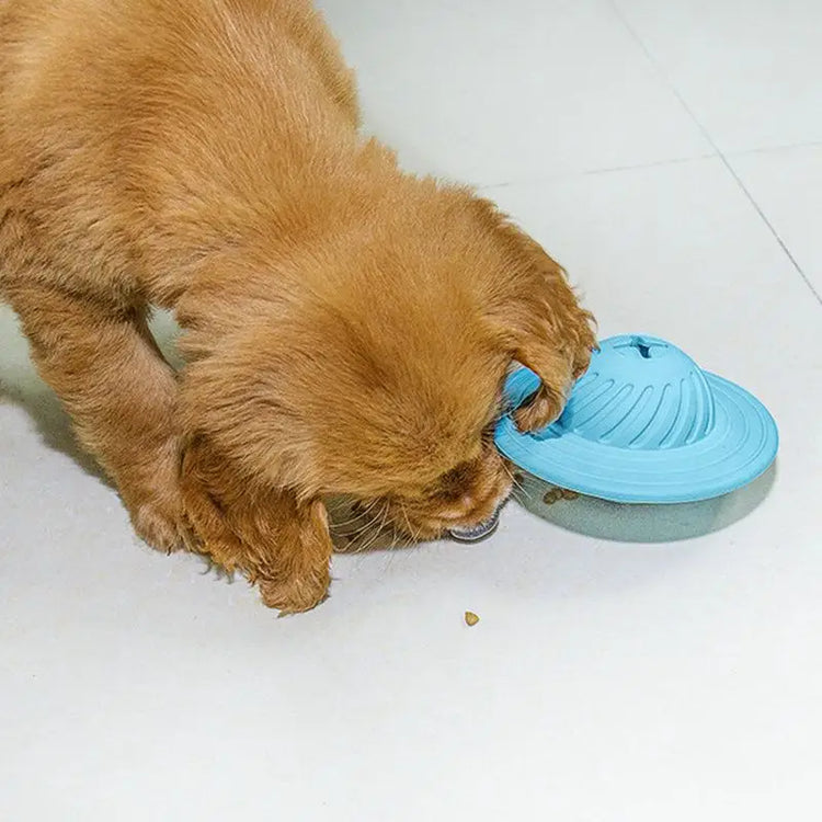 Food Dispensing Dog Treat Ball IQ Interactive Puzzle Toys for Medium Large Dogs Chasing Chewing Playing - Blue