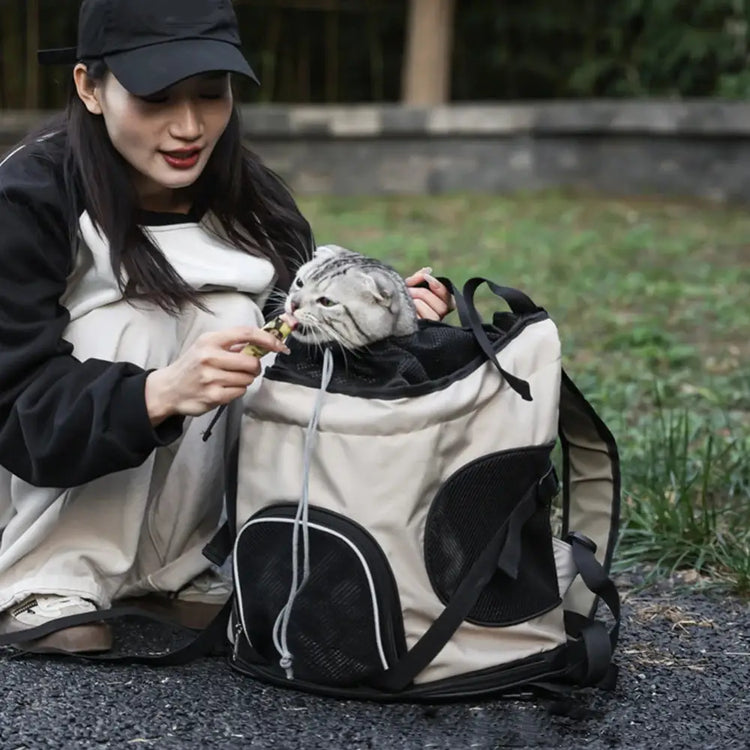 Large Capacity Pet Travel Backpack Carrier - pet carrier