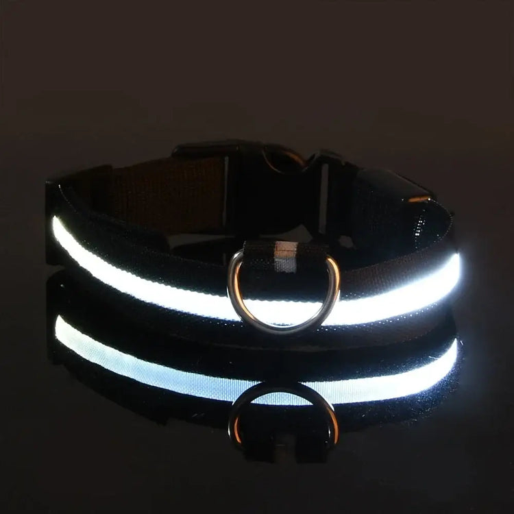 LED Nylon Dog Collar – Glow in the Dark - BLACK / S neck 34-41cm - pet collar