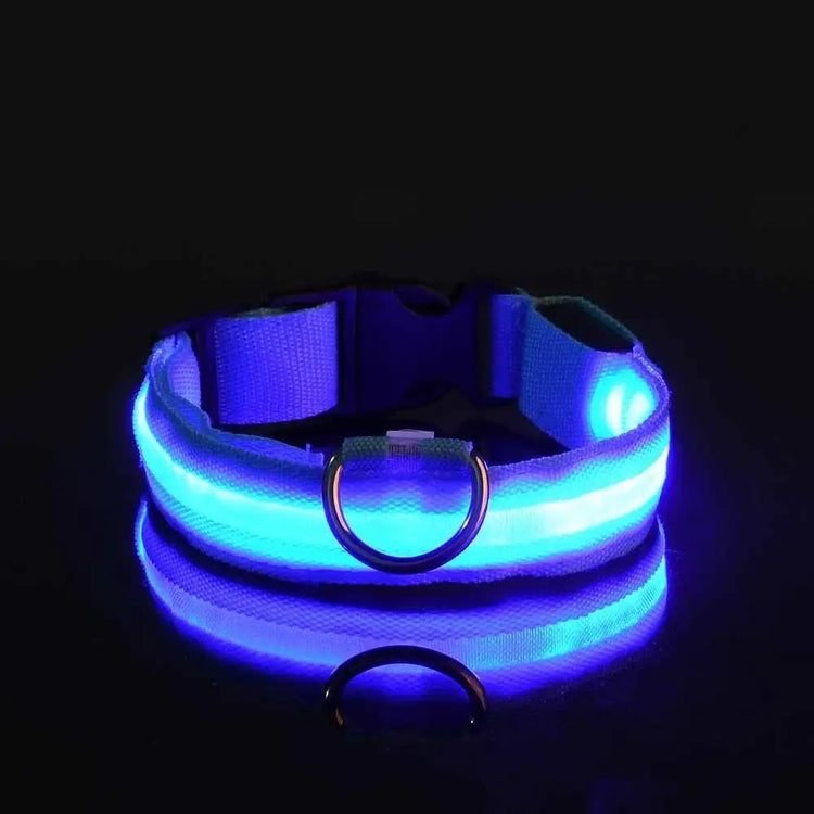 LED Nylon Dog Collar – Glow in the Dark - BLUE / M neck 37-46cm - pet collar