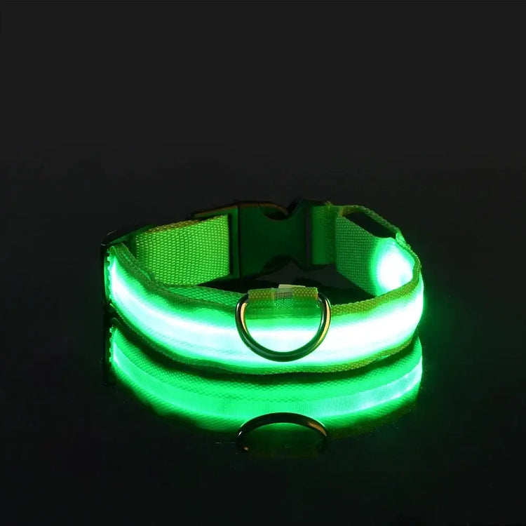 LED Nylon Dog Collar – Glow in the Dark - Green / XL neck 42-56cm - pet collar