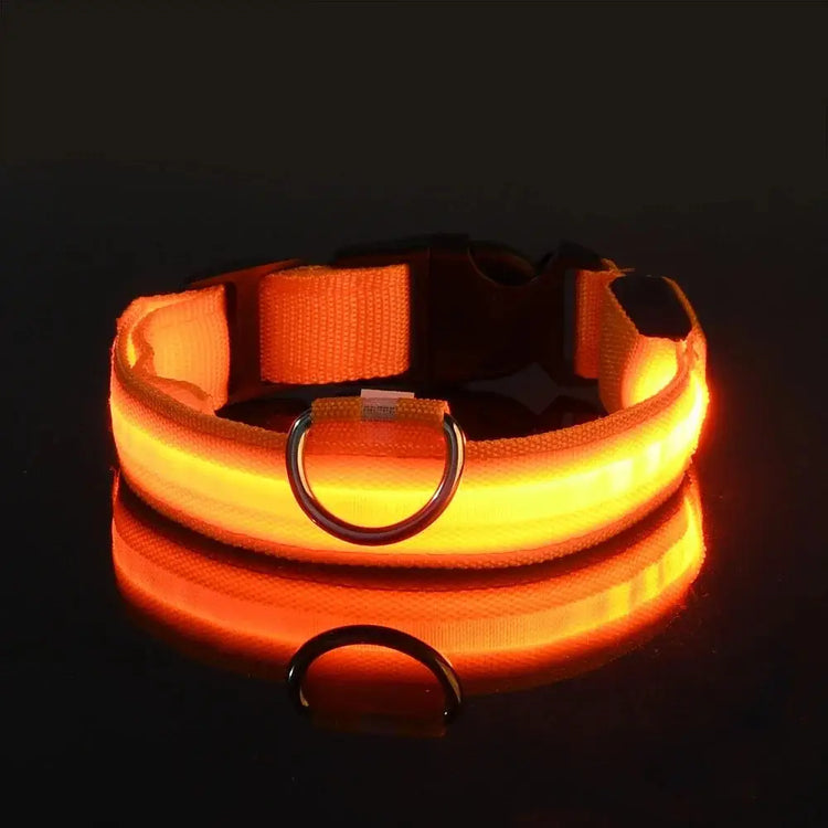 LED Nylon Dog Collar – Glow in the Dark - Orange / L neck 41-52cm - pet collar