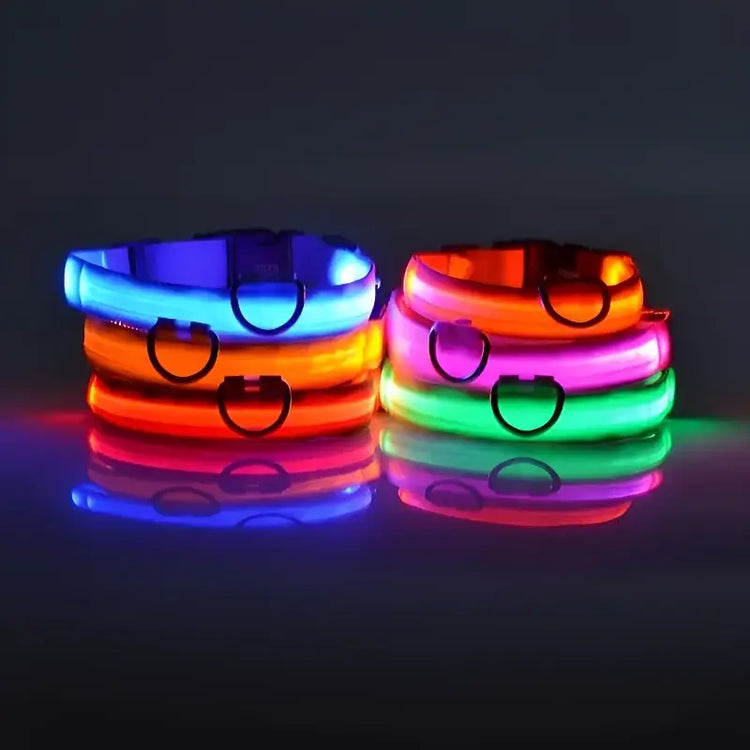 LED Nylon Dog Collar – Glow in the Dark - pet collar