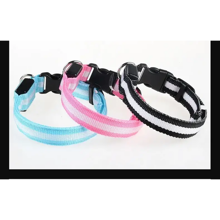 LED Nylon Dog Collar – Glow in the Dark - pet collar
