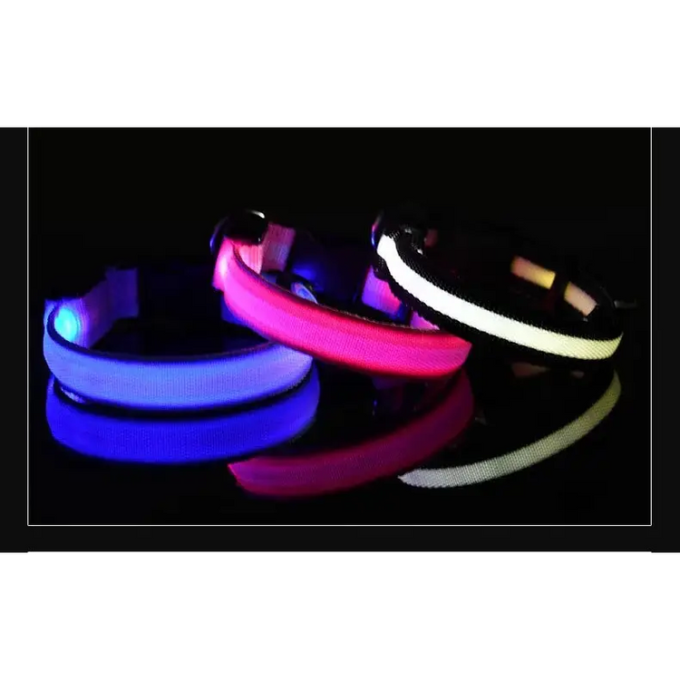 LED Nylon Dog Collar – Glow in the Dark - pet collar