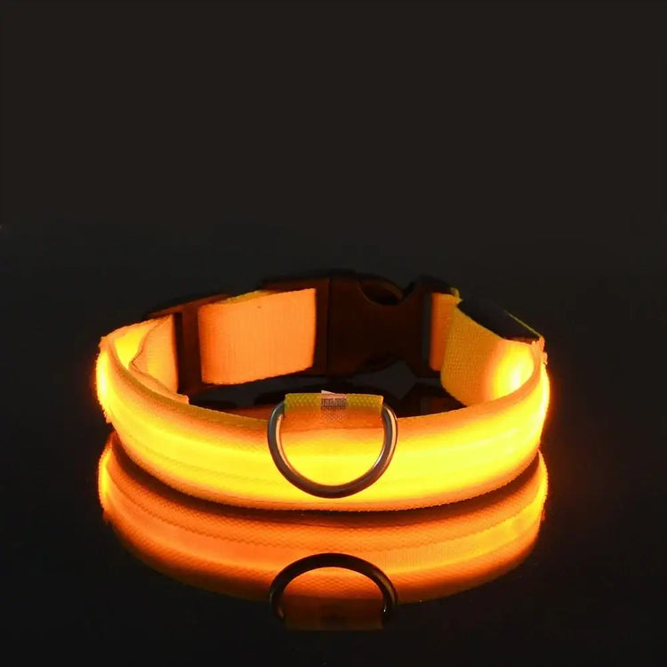 LED Nylon Dog Collar – Glow in the Dark - Yellow / XL neck 42-56cm - pet collar