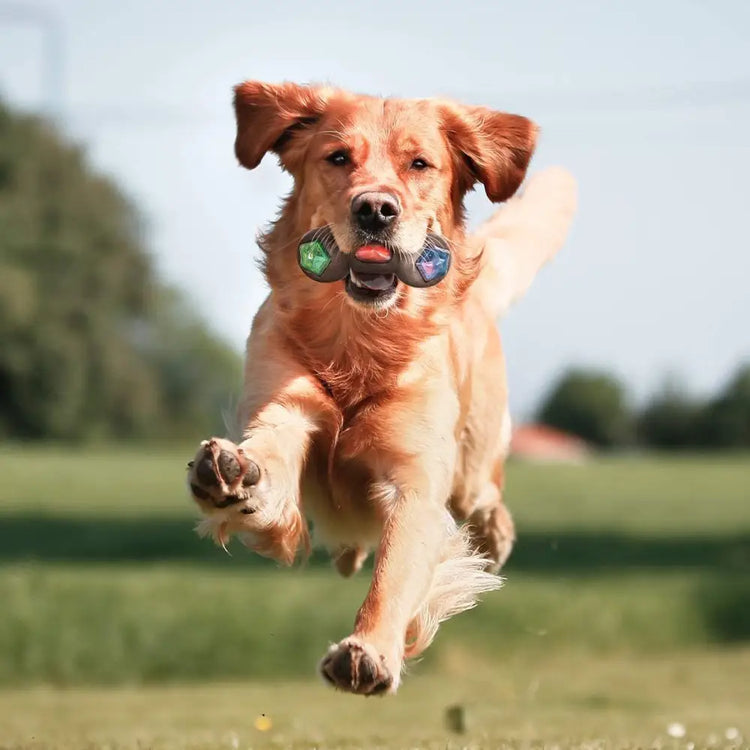 Pet Rubber Bouncing Toy Dog Chew Toy Light up Ball Squeaky Toy Bite Resistant Irregular Shape Toy