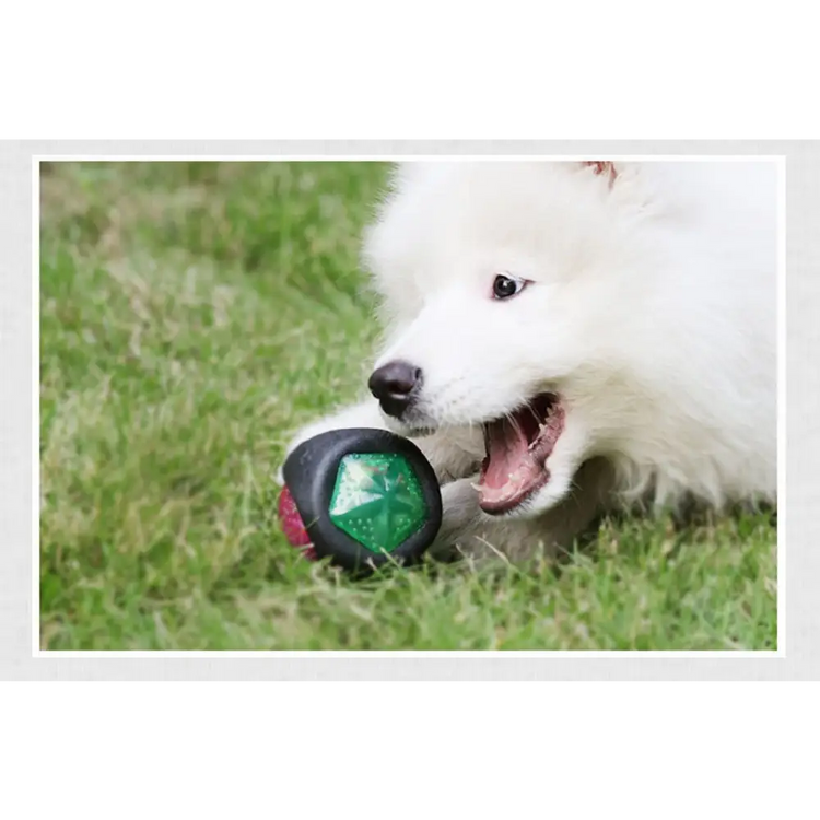 Pet Rubber Bouncing Toy Dog Chew Toy Light up Ball Squeaky Toy Bite Resistant Irregular Shape Toy