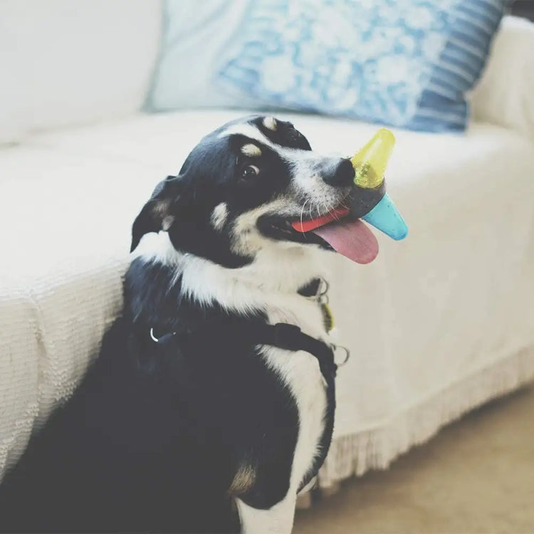 Pet Rubber Bouncing Toy Dog Chew Toy Light up Ball Squeaky Toy Bite Resistant Irregular Shape Toy