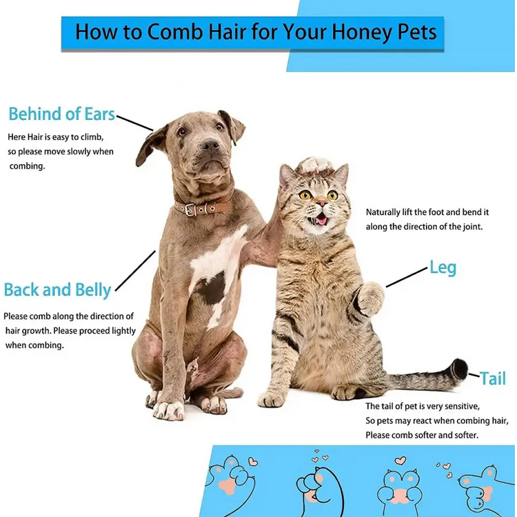 Long Hair Pet Grooming & Hair Remover Brush - pet brush