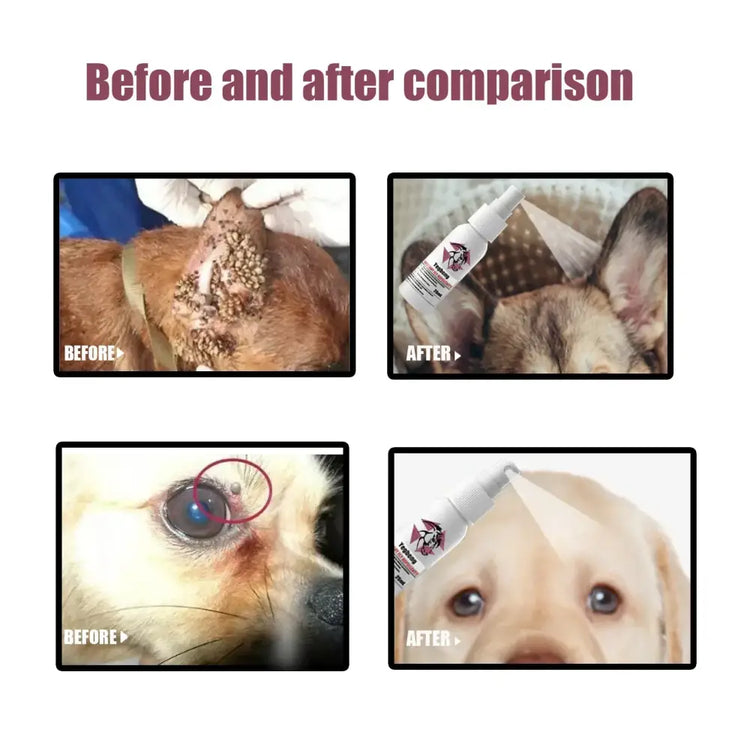 Pet Flea & Tick Spray – Safe for Dogs Cats & Home - flea/tick control