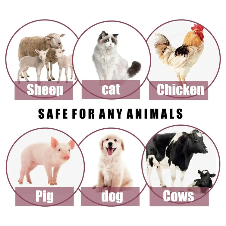 Pet Flea & Tick Spray – Safe for Dogs Cats & Home - flea/tick control