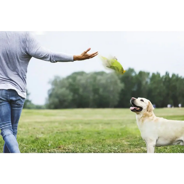 Pet Squeaky Toy Dog Toys Bite Resistant Plush Parrot Shaped Dog Rope Toys Chew Toy with Sound - Green