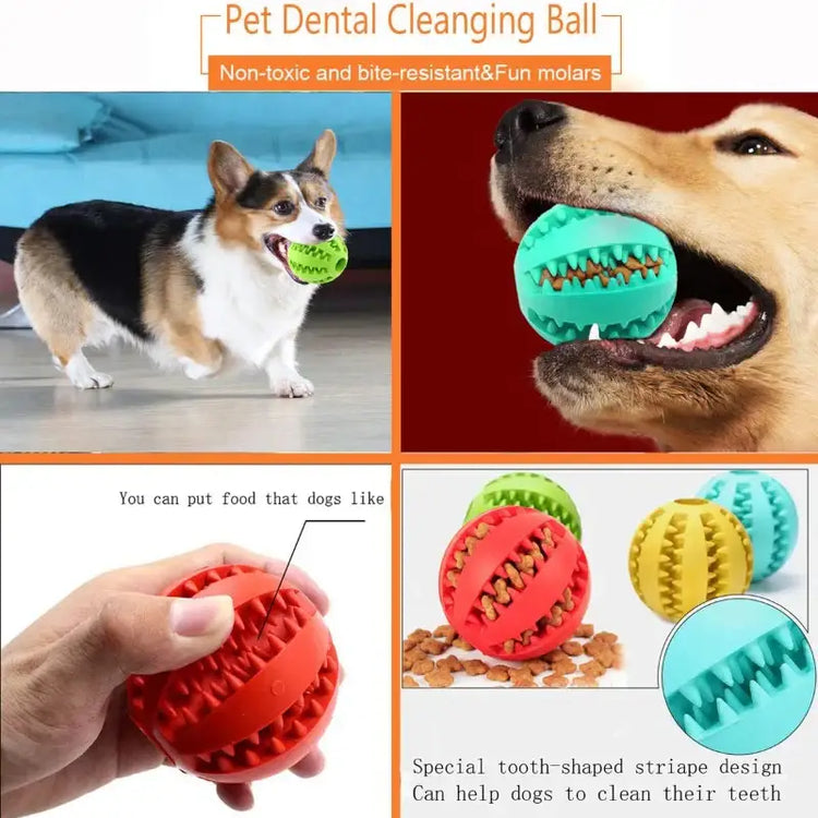 Pet Treat Dispensing Chew Ball - dog toys