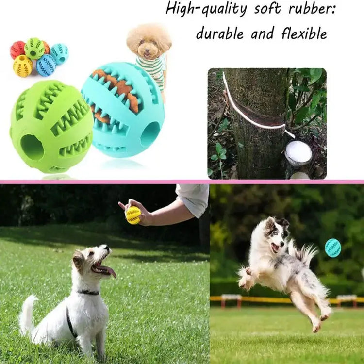 Pet Treat Dispensing Chew Ball - dog toys