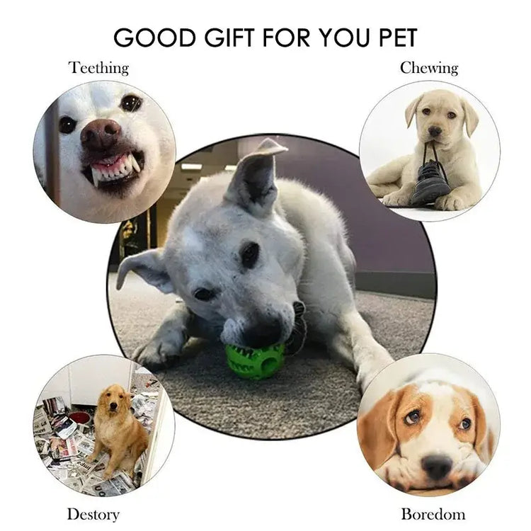 Pet Treat Dispensing Chew Ball - dog toys